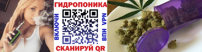 Бошки Шишки ГИДРОПОН  блэк спрут маркетплейс  Западная Двина 
